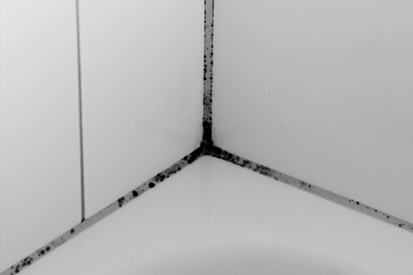 Mold on tiles in bathroom - Austin Mold Inspections